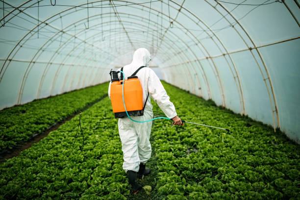 Best Best Pest Control Companies  in Tuscarawas, OH