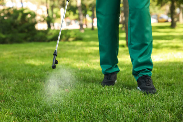 Best Flea Control Services  in Tuscarawas, OH