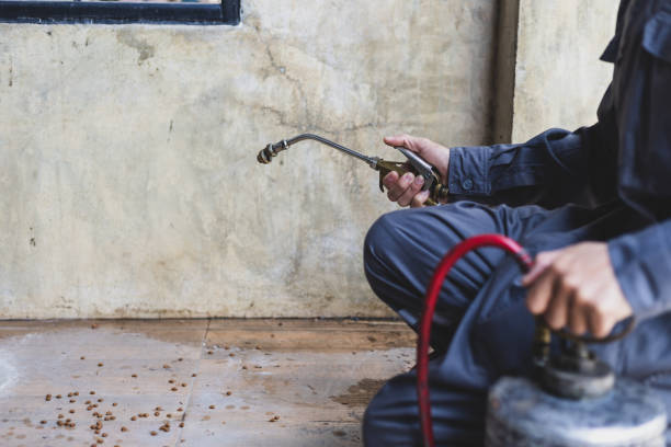 Best Exterminator Services  in Tuscarawas, OH